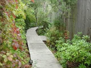Island Properties Feature House